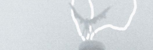 mothmanthemoth's profile banner image