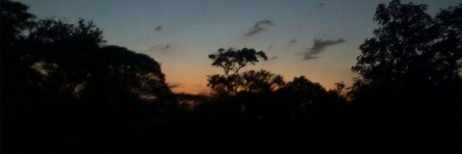 edgardta's profile banner image