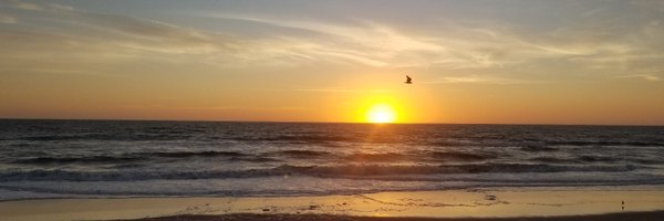 SeoulSnake Profile Banner