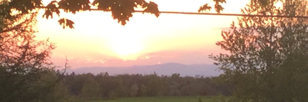 9970500Anne's profile banner image