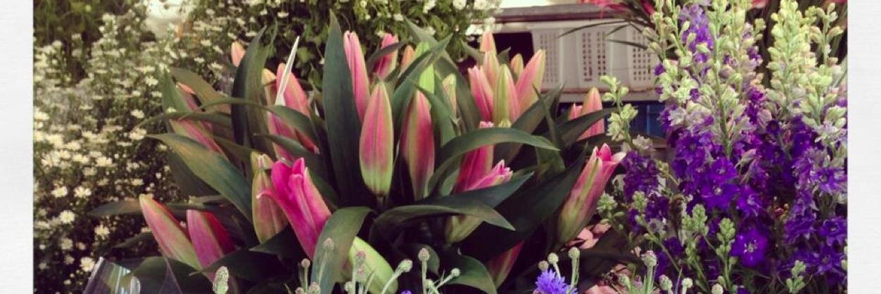 Melinda Scott banner