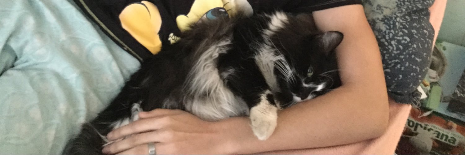 Kellyleclerc2's profile banner image