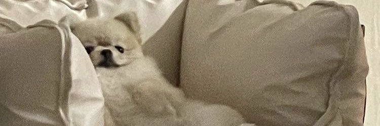 福 banner