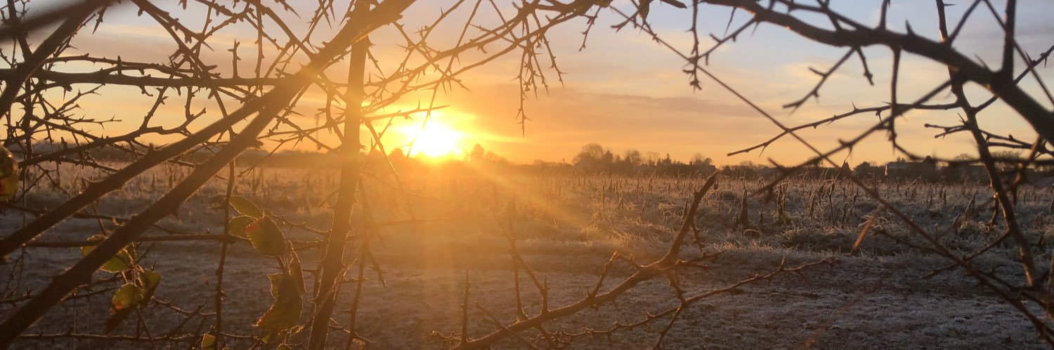 ItsWillKemp's profile banner image