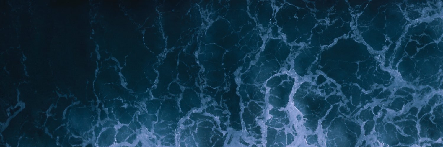 monicalettuce's profile banner image