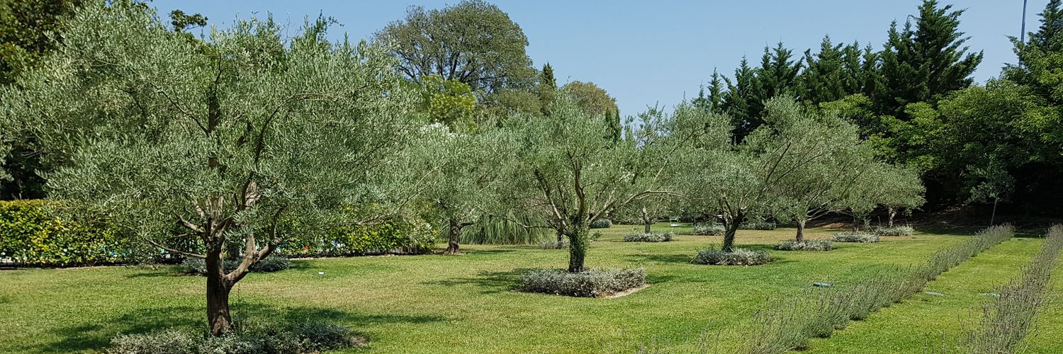 Jérémie BECCIU banner