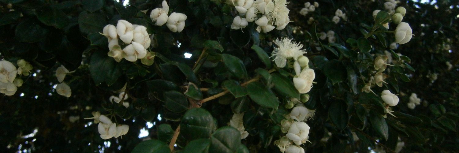 ppalomarodrig's profile banner image