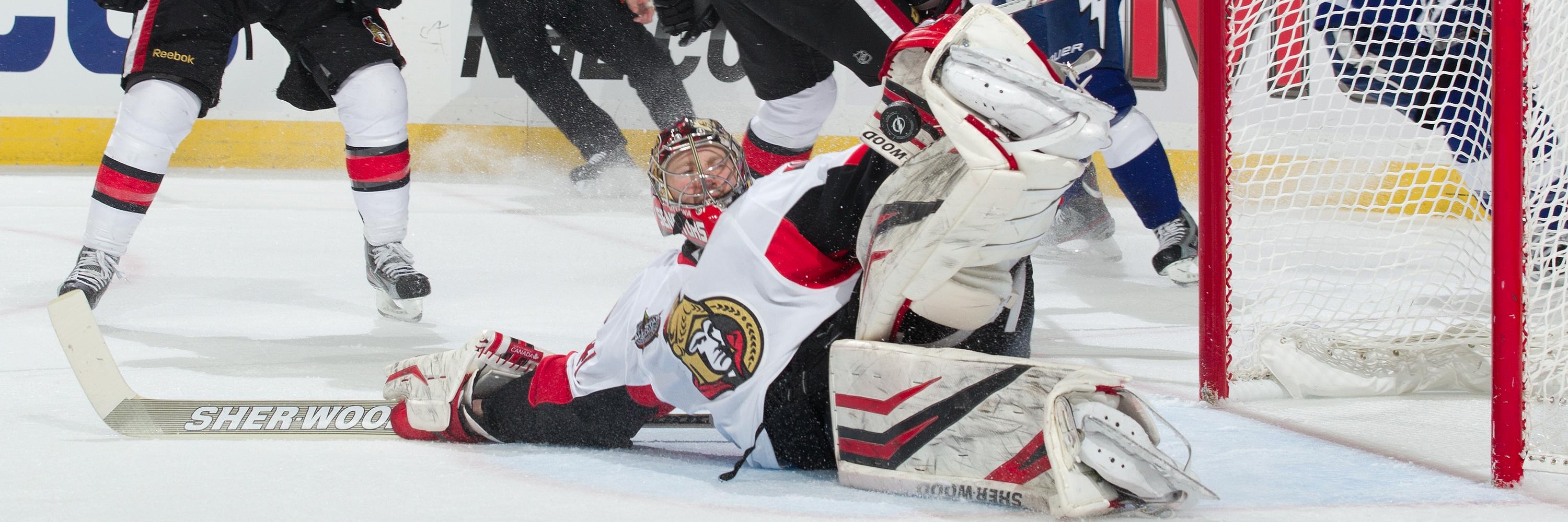 Craig Anderson banner