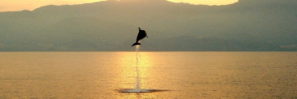 17_irem's profile banner image