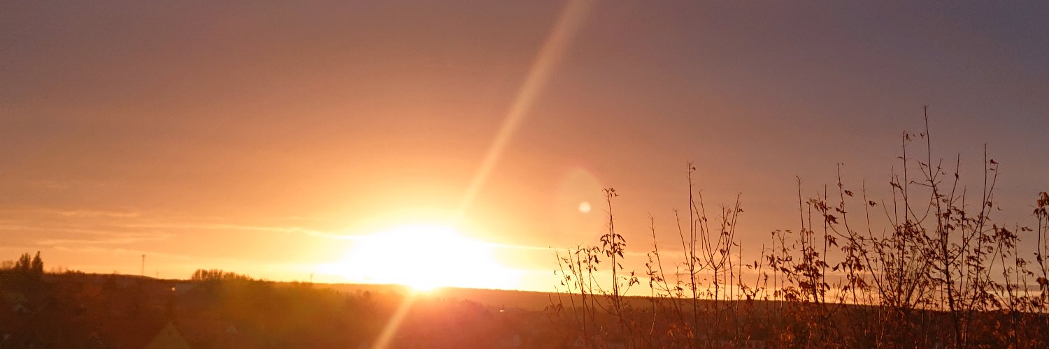 _Flausch_'s profile banner image
