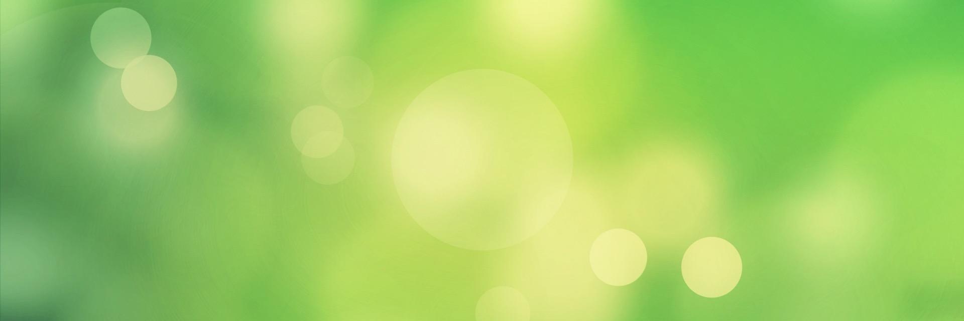 Lipantaleon's profile banner image