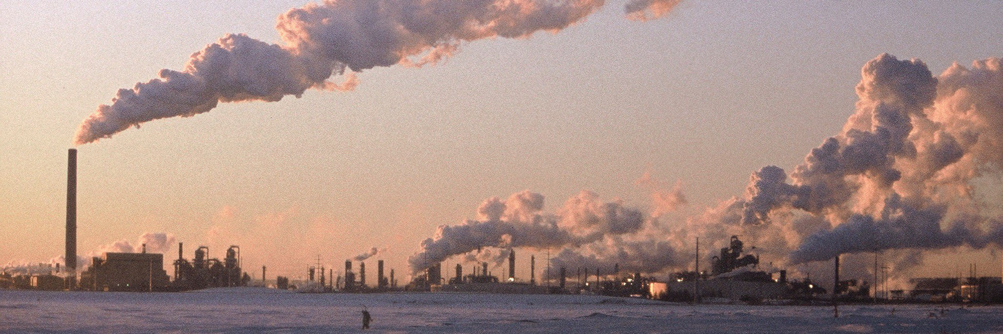 Baskut Tuncak banner