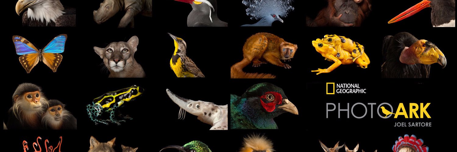 NatGeoBooks's profile banner image