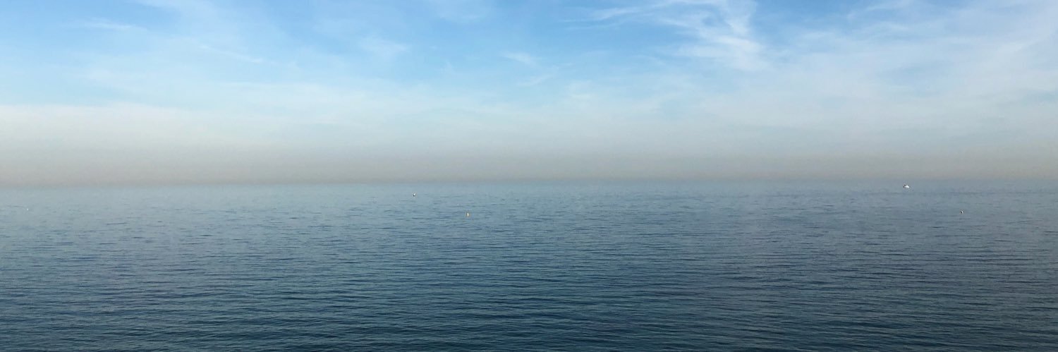 Davinia Hamilton banner