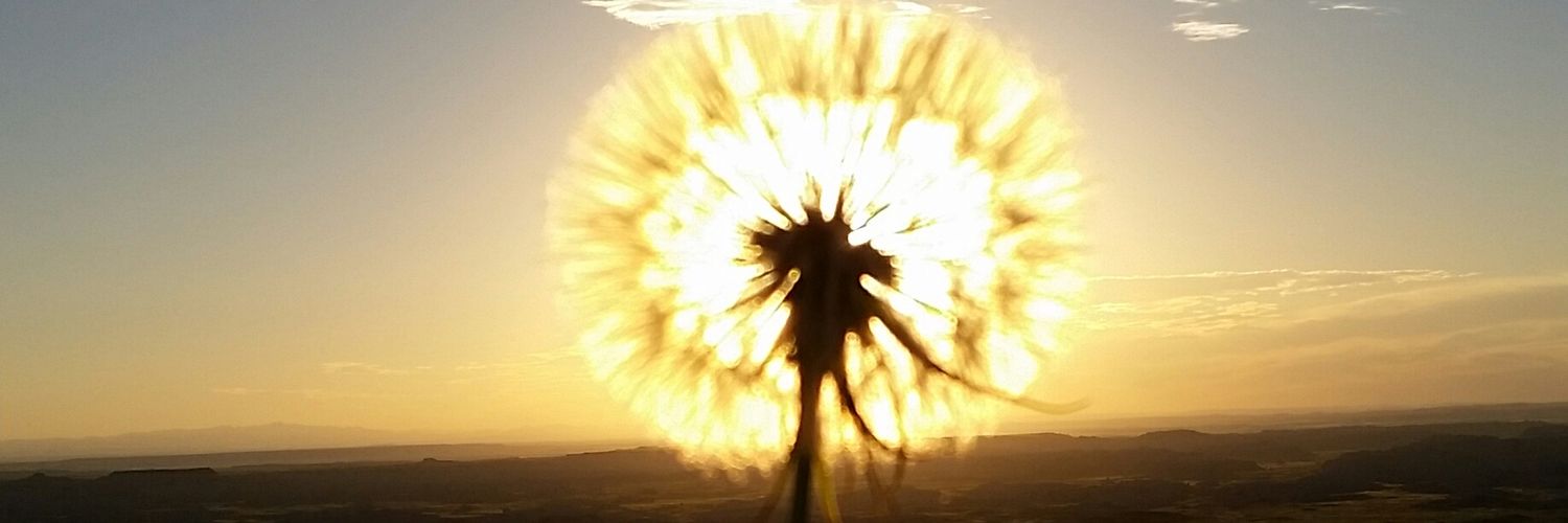 ject93's profile banner image