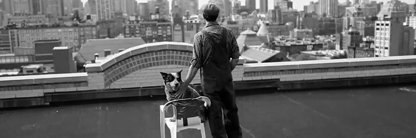 David Lee Roth banner