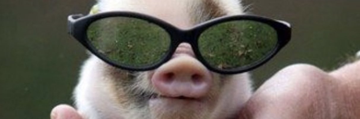 haley_sc0's profile banner image