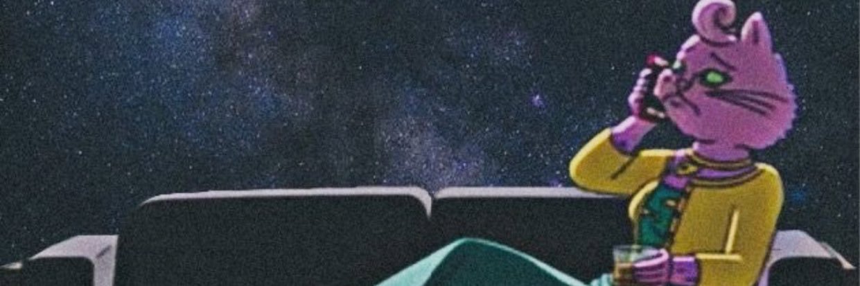 camilaniv's profile banner image