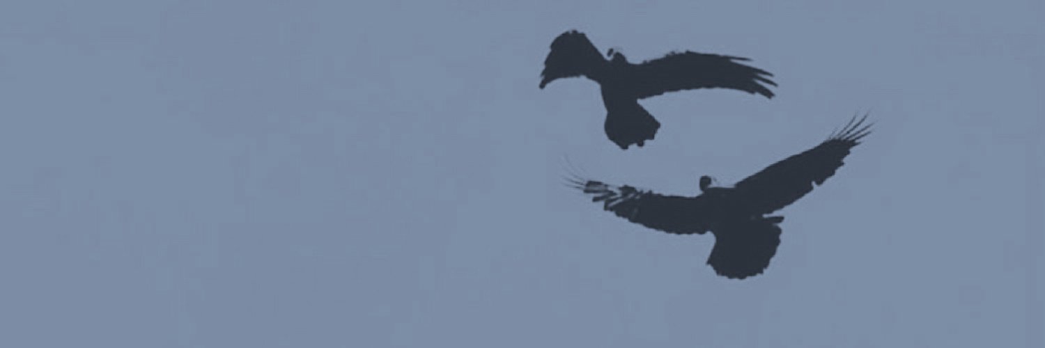 Ruba | رُبى بنت سُليمان banner