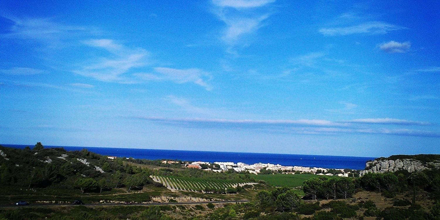 Tjitske Bakx banner