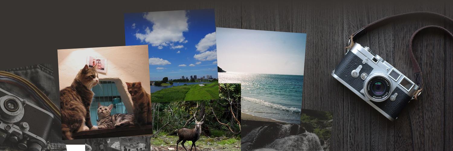 ナニワグループ banner