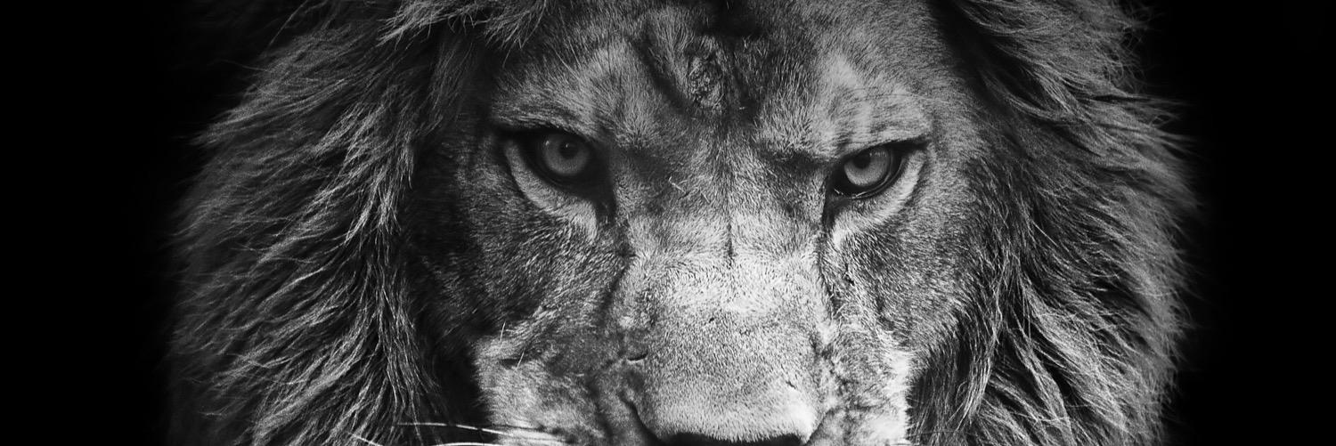 NoTeCallesPY's profile banner image