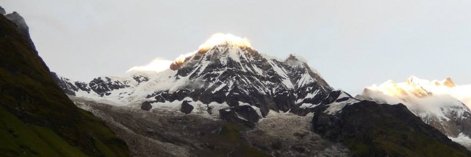 Dr Chelsea Orme banner