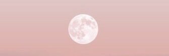 Miiaaou's profile banner image