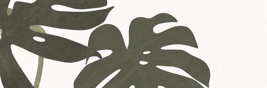 LauraManotas1's profile banner image