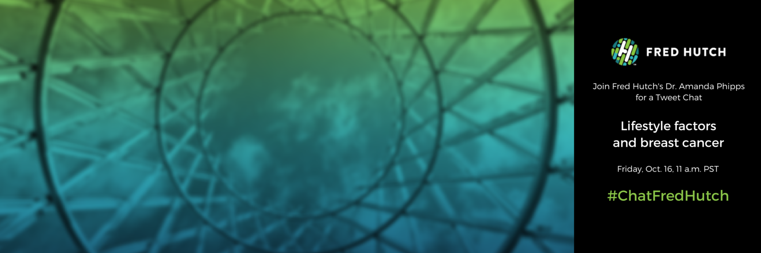 Amanda Phipps banner