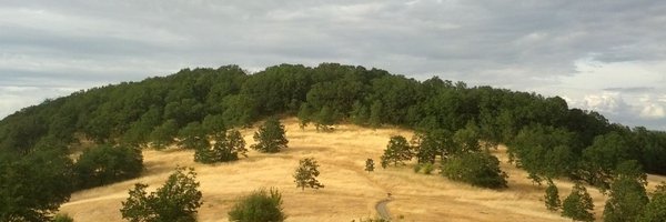 CVWickham Profile Banner