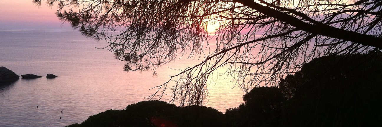 serenabecucci's profile banner image