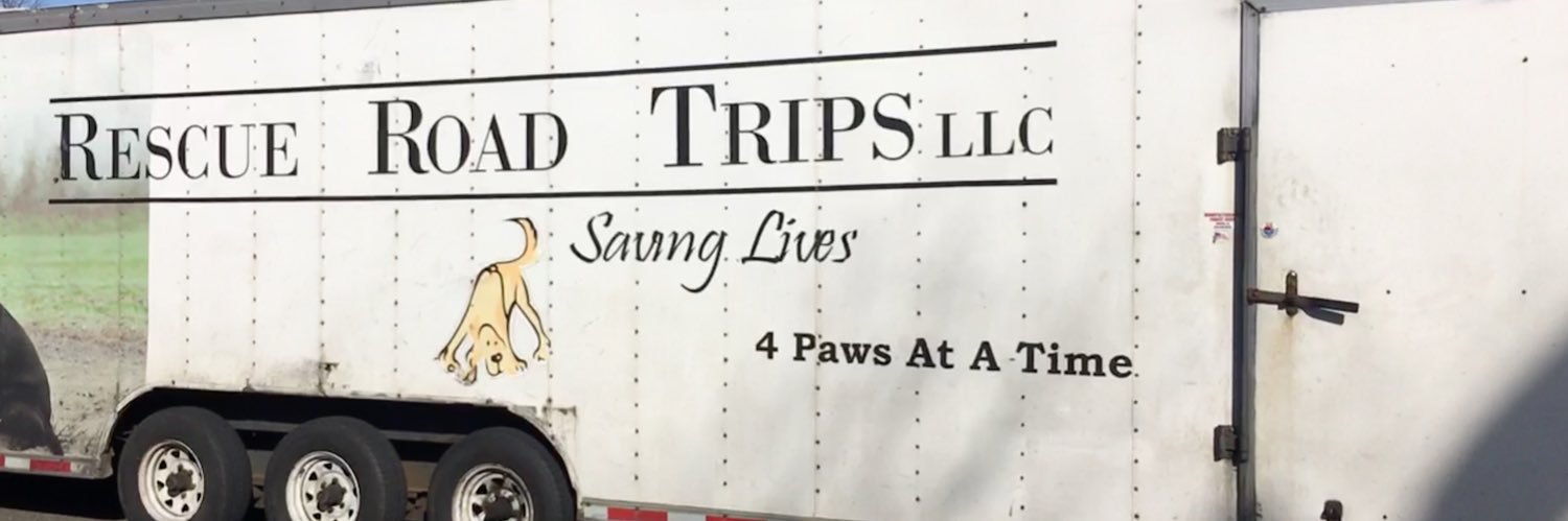 JillLeonhardt's profile banner image
