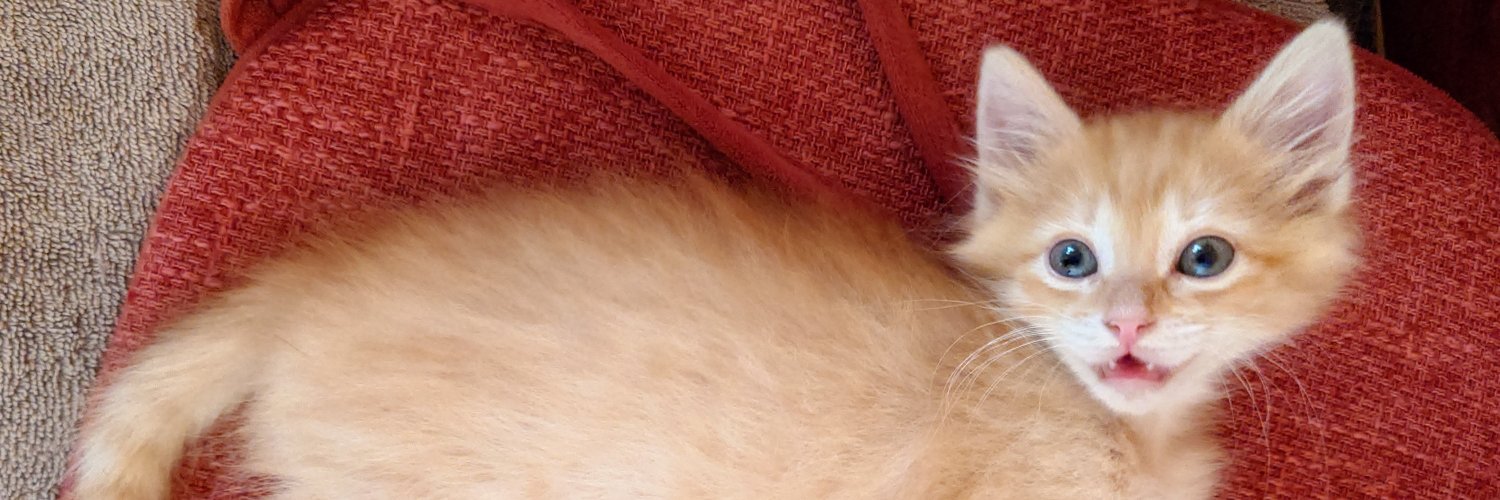 leehammondMX's profile banner image