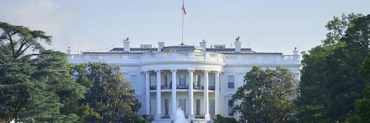 Dear45's profile banner image
