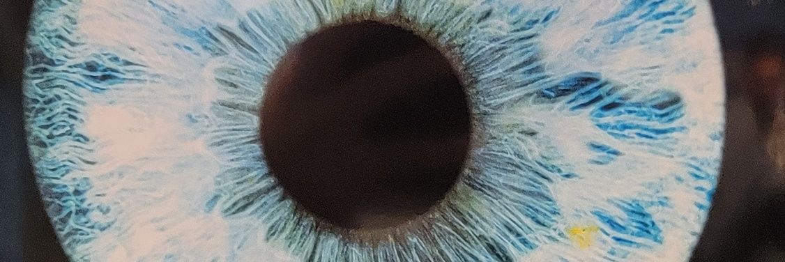 hardwired_eth's profile banner image