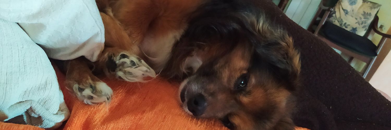 Juudithlaazaro's profile banner image