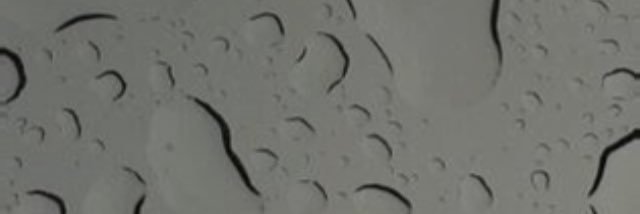 dantegarin's profile banner image