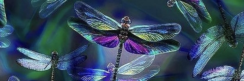 _coskunzeynep's profile banner image
