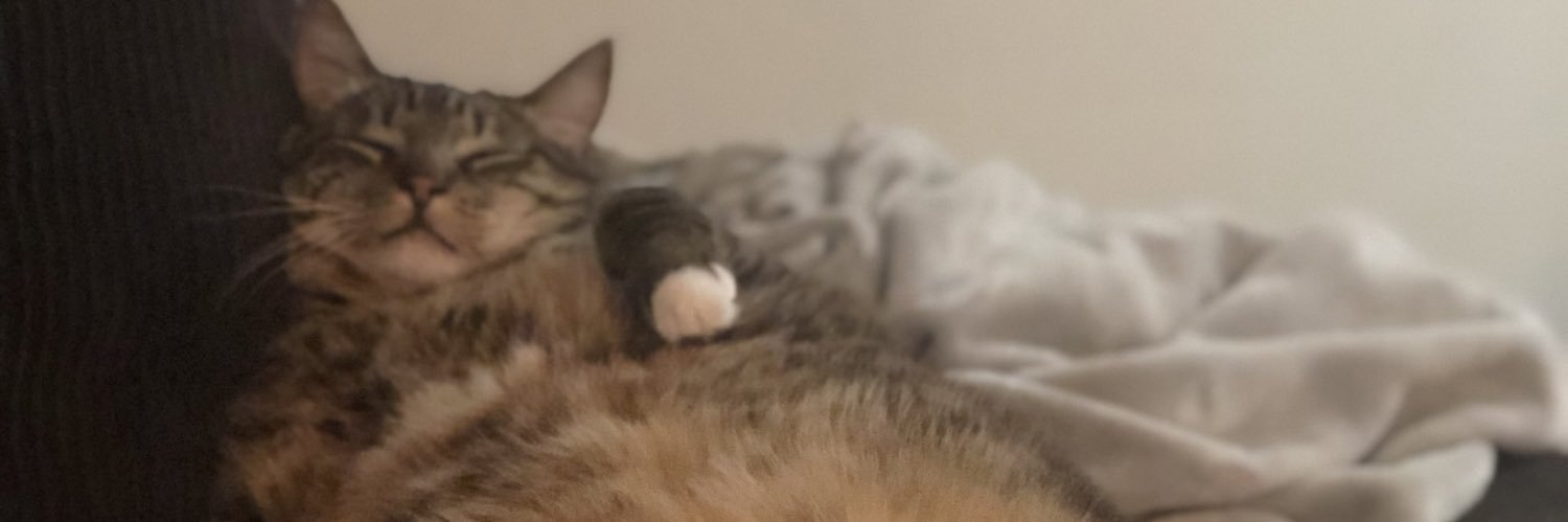 SAUCEYSAMI's profile banner image