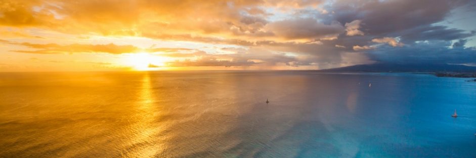 Andrew Leatuali’i Savini banner