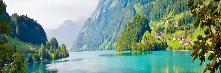 LifePicsDaily's profile banner image