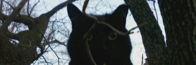 BLCKDGRD banner