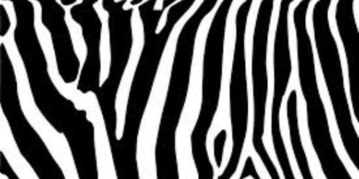 PatrickEvans8's profile banner image