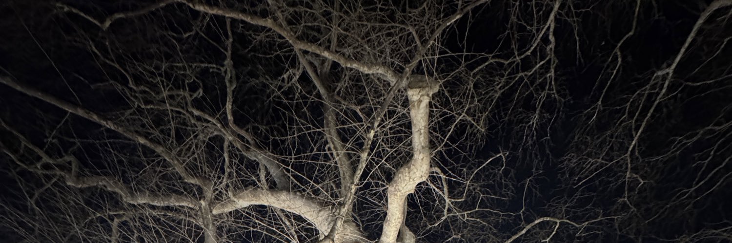 cguzel's profile banner image