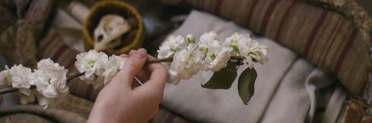 Laura 🧚🏻‍♀️ banner