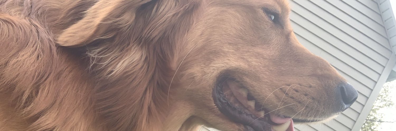 dmaylin19's profile banner image