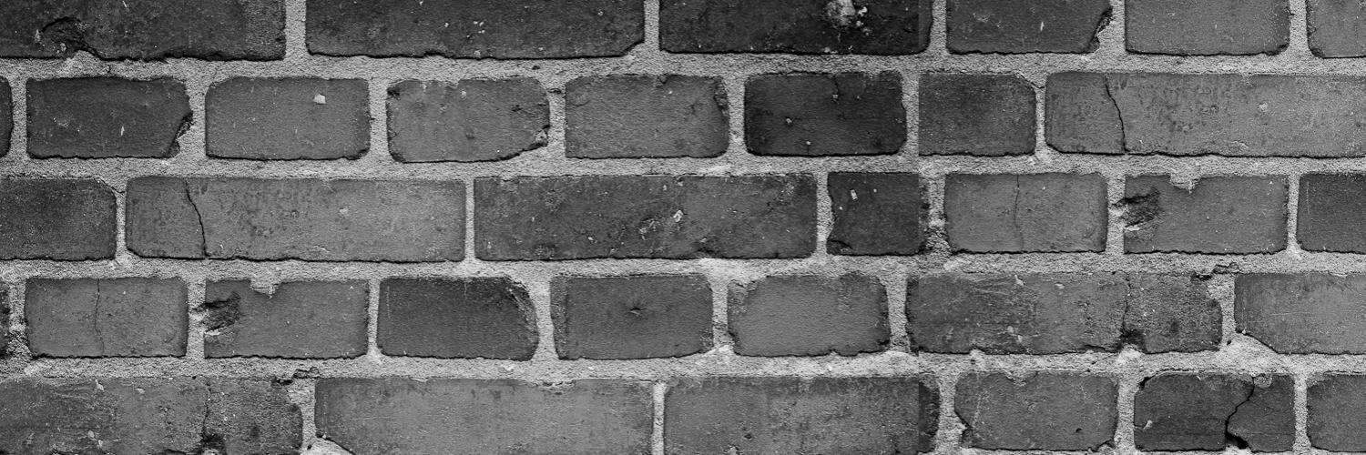 pippairvine's profile banner image