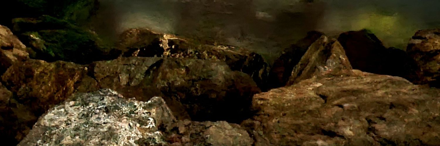 LaraHwan's profile banner image