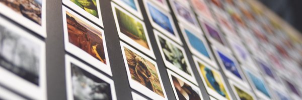 WonderPhotoES Profile Banner